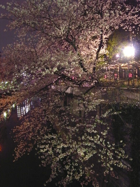 d0350542_21462618.jpg
