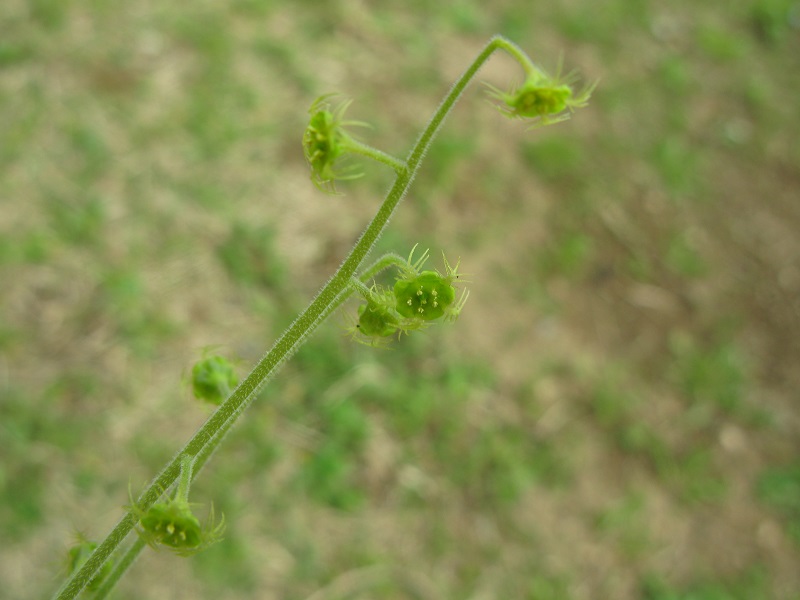 d0333943_21382917.jpg