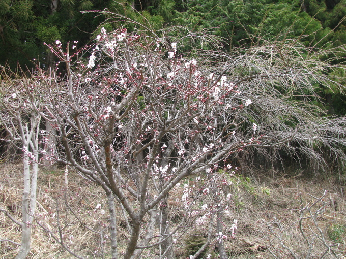 f0151044_22451268.jpg