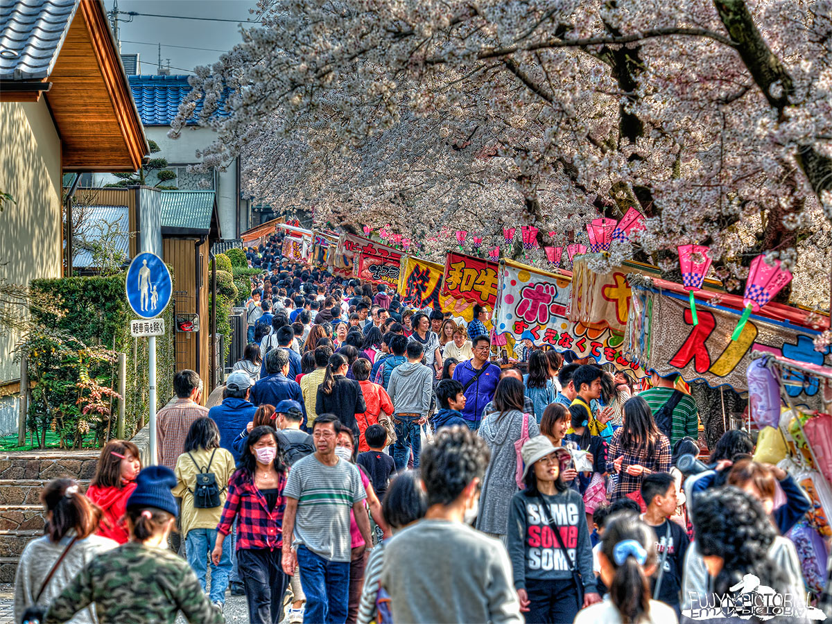 b0135347_23292722.jpg