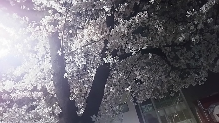 a0041150_4443336.jpg