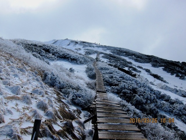 b0148050_7134671.jpg