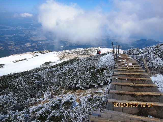 b0148050_7432920.jpg