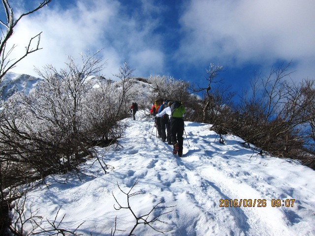 b0148050_75049.jpg