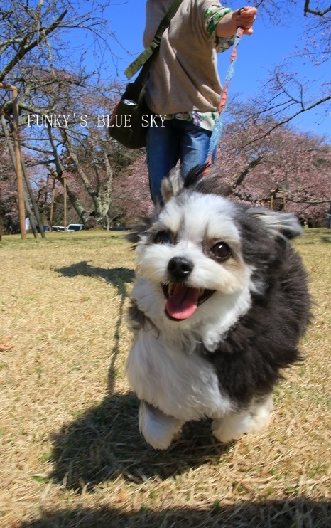 c0145250_14571863.jpg