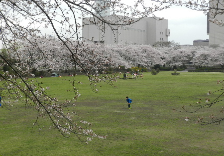 e0172950_6483559.jpg