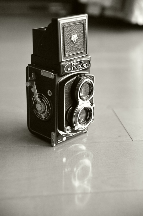 c0181552_1957174.jpg