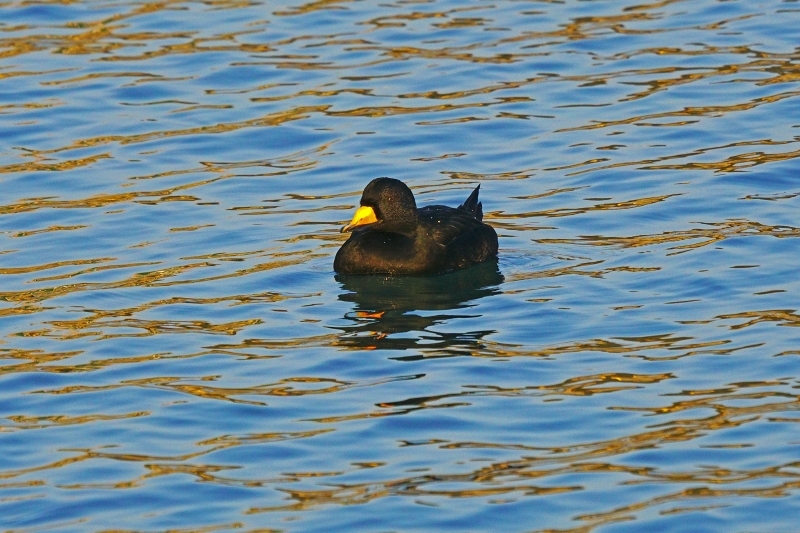 e0229455_14425810.jpg