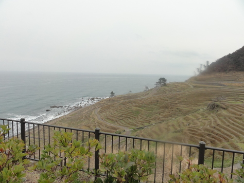 d0029363_11425915.jpg