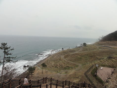 d0029363_11432762.jpg
