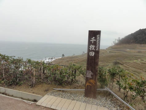 d0029363_11434911.jpg