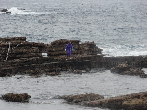 d0029363_1816444.jpg