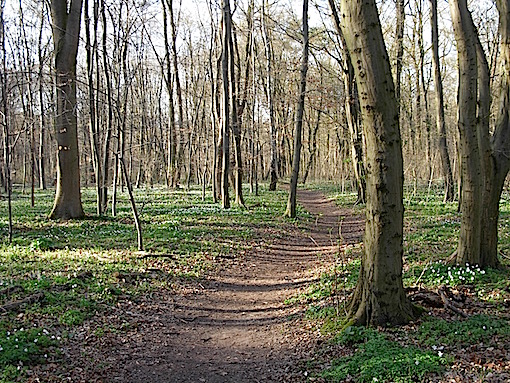 e0357367_1736529.jpg