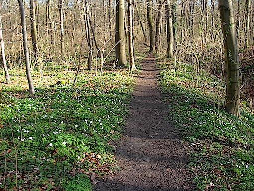 e0357367_17373759.jpg