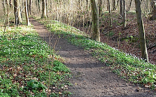 e0357367_1737996.jpg