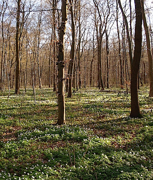 e0357367_1748075.jpg