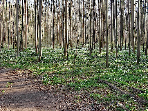 e0357367_1751571.jpg