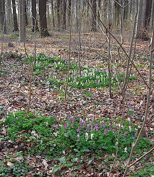 e0357367_1817103.jpg