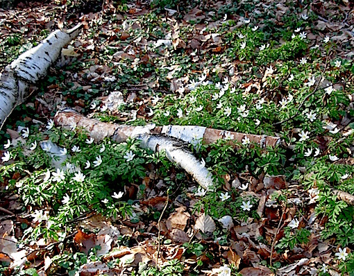 e0357367_18255593.jpg