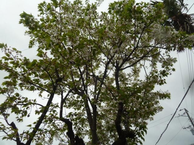 e0278968_22275939.jpg