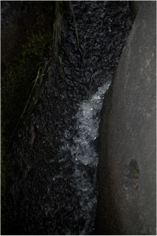 c0168172_23225289.jpg