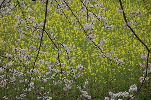 b0245877_17282357.jpg