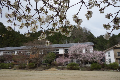 b0245877_1745579.jpg