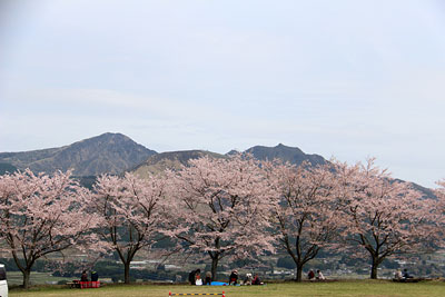 c0152779_20275488.jpg