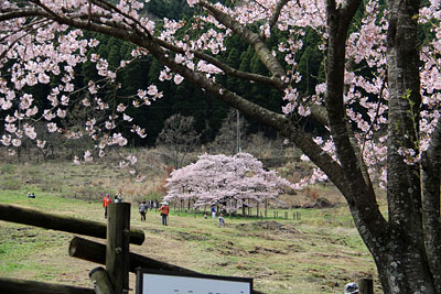 c0152779_2027819.jpg