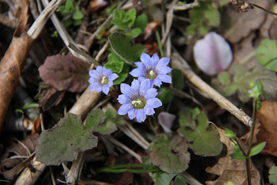 c0152779_2028530.jpg