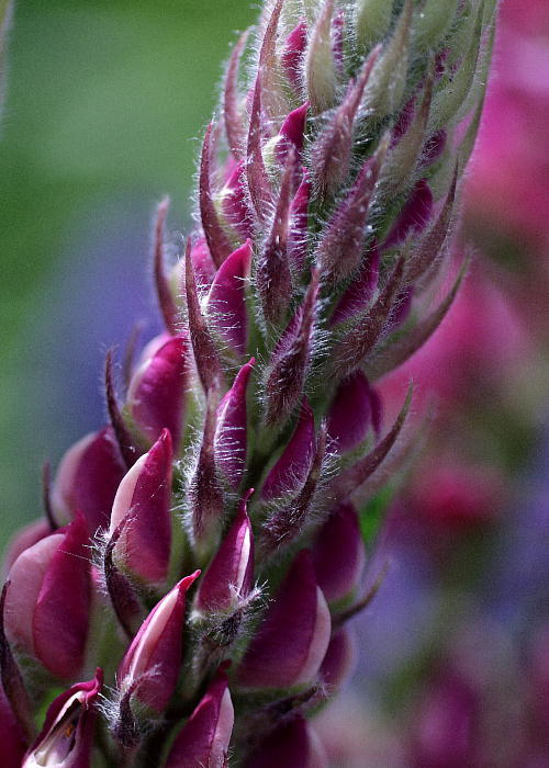 c0357781_11143439.jpg