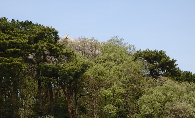 b0197486_11855100.jpg