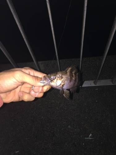 f0191888_23200436.jpeg