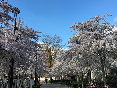f0238789_17373279.jpg