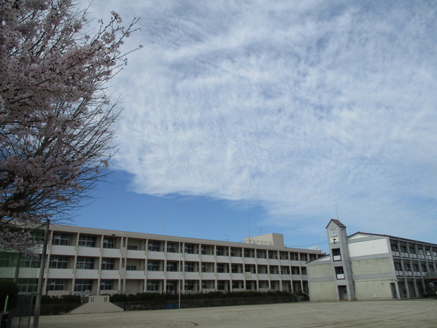 d0333091_1655226.jpg