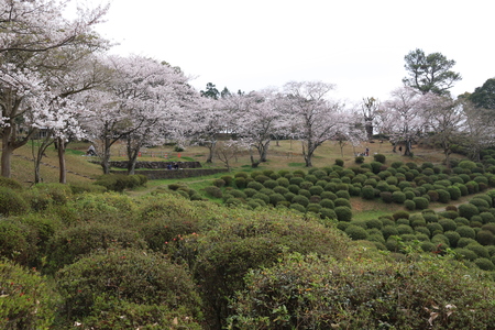 b0062793_14333768.jpg