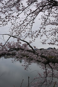 f0226293_22291551.jpg