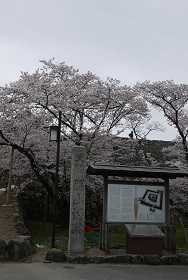 f0226293_22294782.jpg