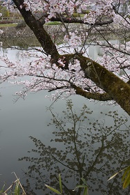 f0226293_22301279.jpg
