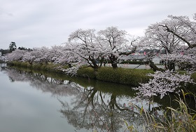 f0226293_22302696.jpg