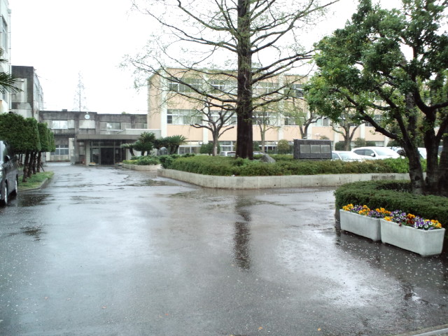 f0042295_1253893.jpg