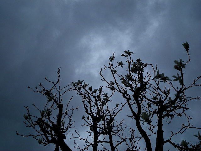 a0199297_1735421.jpg