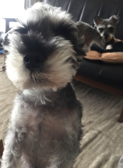 b0188998_18502445.jpeg