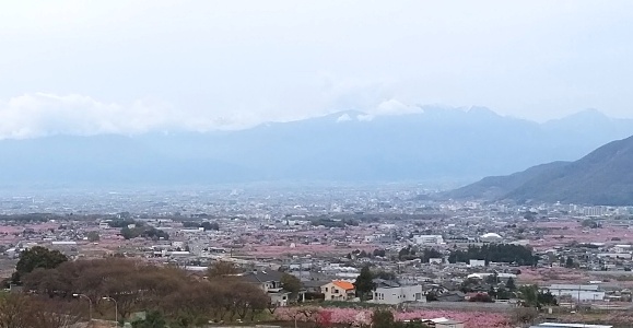 a0236300_2159268.jpg