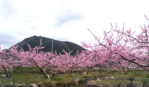 a0236300_2215516.jpg