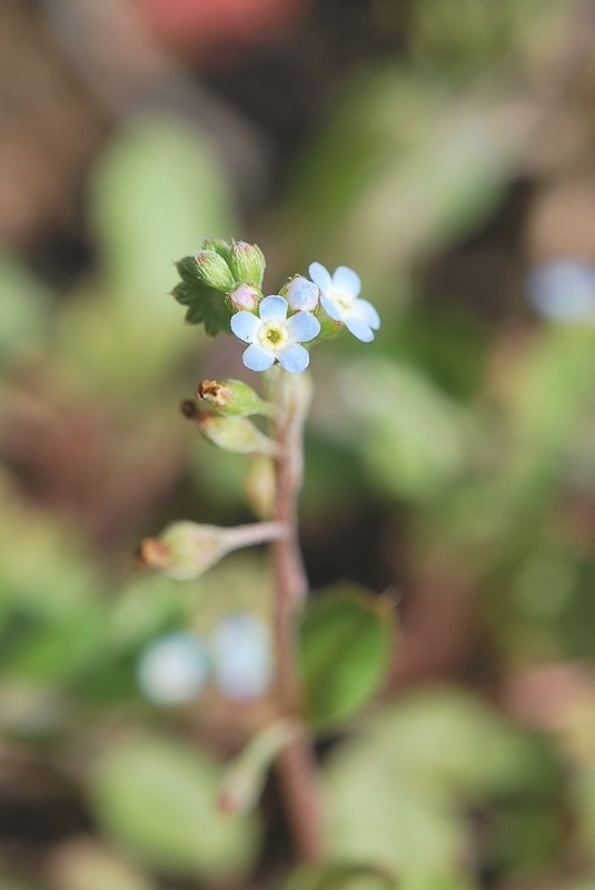 e0025300_22461358.jpg