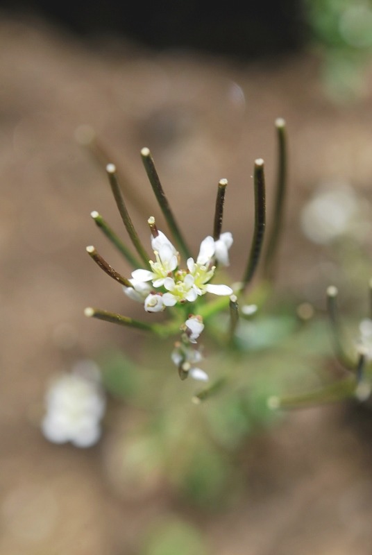 e0025300_22551747.jpg