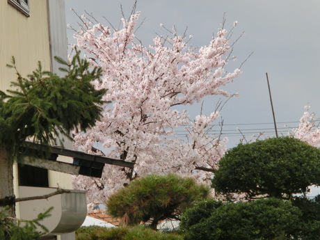a0203003_20405786.jpg