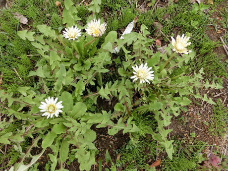 a0203003_20412879.jpg