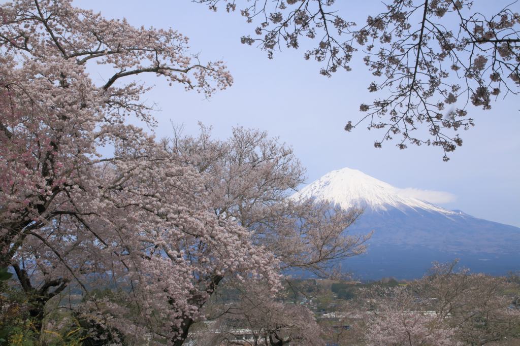 a0188405_22133119.jpg